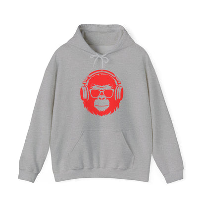 LIMITED EDITION**  DJ Hoodie —  Graphic Pullover with 'VILLAINZ & THAT' Back Print