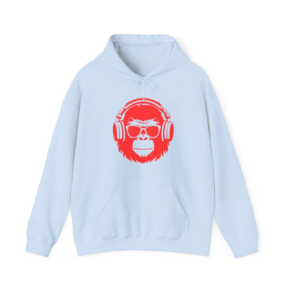 LIMITED EDITION**  DJ Hoodie —  Graphic Pullover with 'VILLAINZ & THAT' Back Print