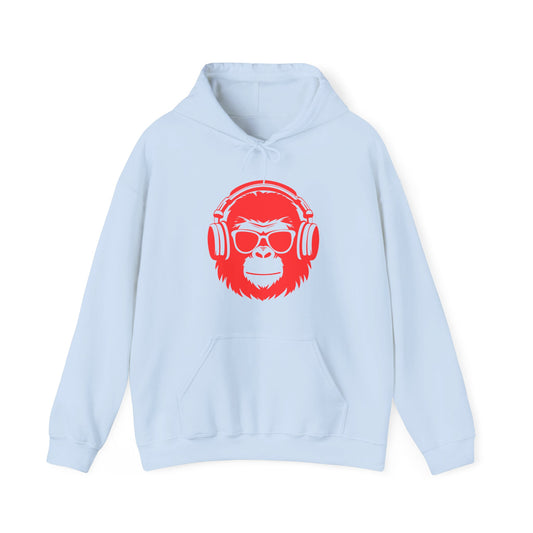 LIMITED EDITION**  DJ Hoodie —  Graphic Pullover with 'VILLAINZ & THAT' Back Print